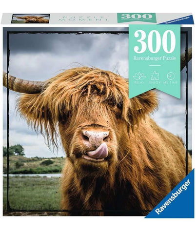 highland cattle - 300 piece puzzle