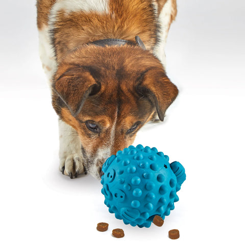 tough & tumble treat dispensers